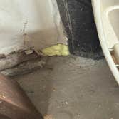 Rodent Treatment Service