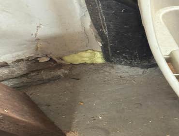 Rodent Treatment Service