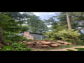 Photos by Sturdy Tree Solutions LLC #1