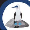 Bird Rock Construction logo