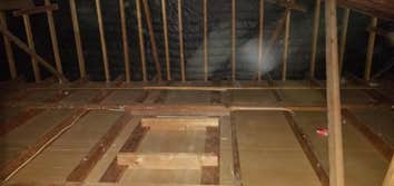 Attic After Cleaning