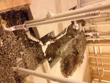 Capital Plumbing & Remodeling LLC Projects
