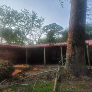 Photos by Valdez Tree Service LLC #2