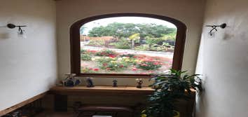 Colour Painting & Decorating
