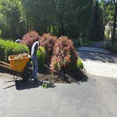 Garden Care