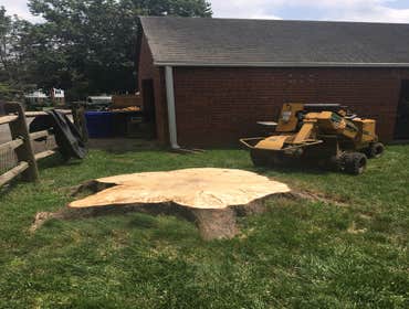 Photo(s) from Bonilla Tree Service Inc