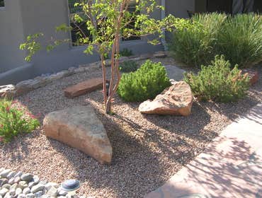 Xeriscaping