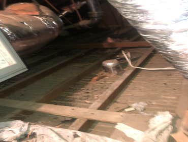 Attic insulation - Glendale