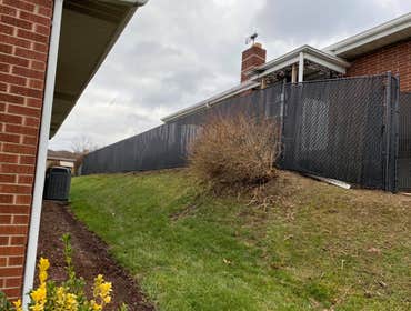 Chain Link Fence