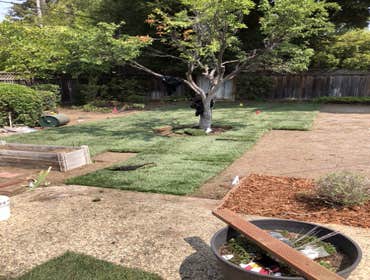 Landscaping Projects
