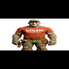 Golem Roofing logo