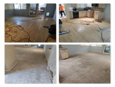 Engineered glue down Bamboo wood flooring