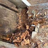 Photos by Lopez Quality Construction #1