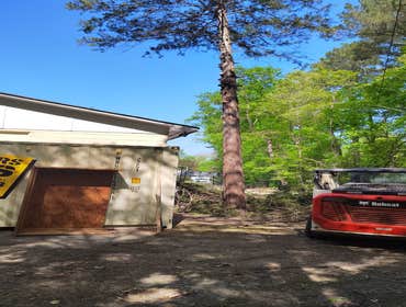 Flores Tree Services General & Landscaping