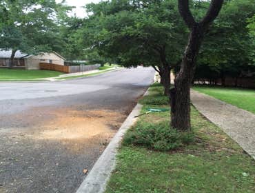 Photos from South Texas Tree of Life Tree S.Tx Tree of Life Tree Service