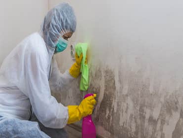 Photos by Beavers Mold Inspections #1