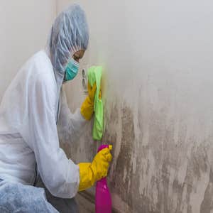 Photos by Beavers Mold Inspections #1
