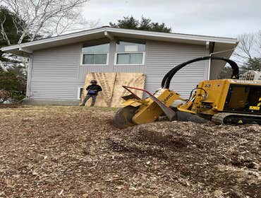 Photos by Yandi's Tree Service #8