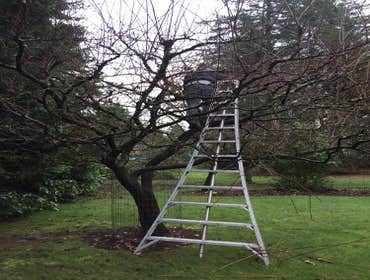 Photos by Best Cuts Lawn Care #1