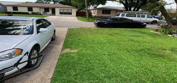 No Mow Worries