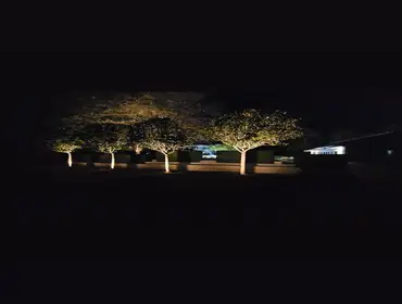 Landscape lighting
