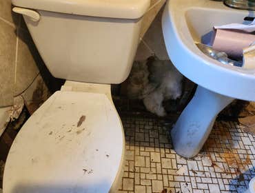 Water Damage