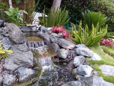 Landscape Designer in Malibu