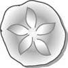 Sand Dollar Construction logo