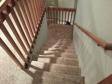 Photos from Stoneking Enterprises Llc