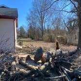 Jl Tree Service