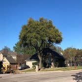 Corinth Tree Service