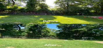Photos by M.A. Garcia Tree Service Inc #2