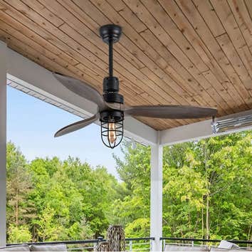 Ceiling Fans