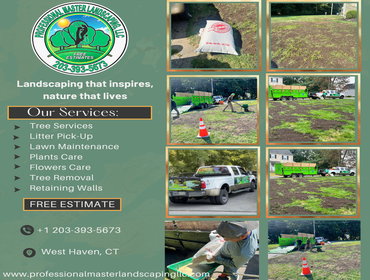 Photos by Professional Master Landscaping LLC #17