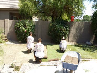 sod installation