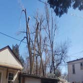 Photos by Ramos Landscaping. LLC @tree Service #3