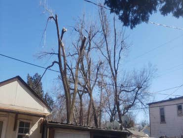 Photos by Ramos Landscaping. LLC @tree Service #3