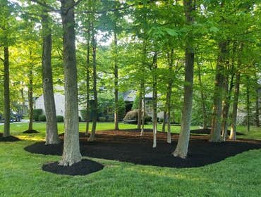 Photos by Jm Landscape and Tree Services #1