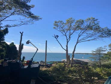 Photos by Jose Tree Service #1
