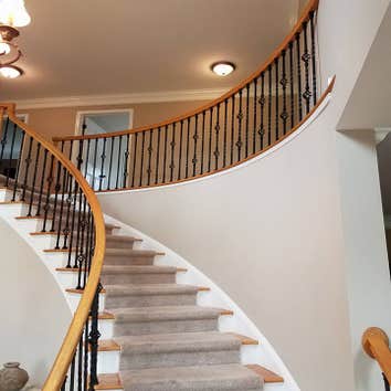 Photos from Albero Renovations