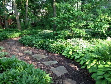 Serenity in the woodland garde