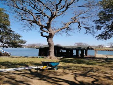 Photos by Atx Blue Star Tree Service #1