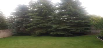 Photos by Jm Landscape and Tree Services #1