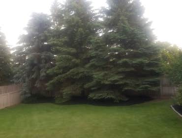 Photos by Jm Landscape and Tree Services #1