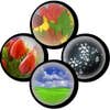 Walnut Creek Lawn and Landscape Services, LLC logo
