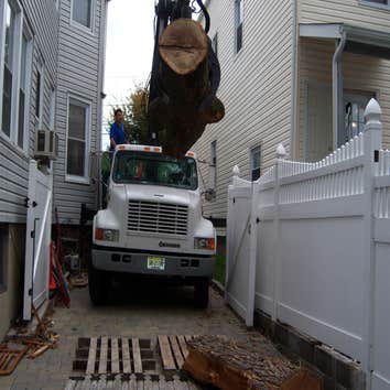 tree removal