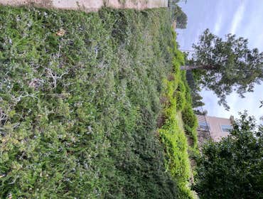 Photos by Pastrano's Landscaping #1