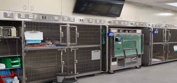 Michigan State University – Veterinary Teaching Hospital Critical Care Unit