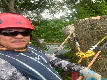 Photos by E. Sanchez Tree Services #6