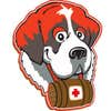 Rescue Roofer logo